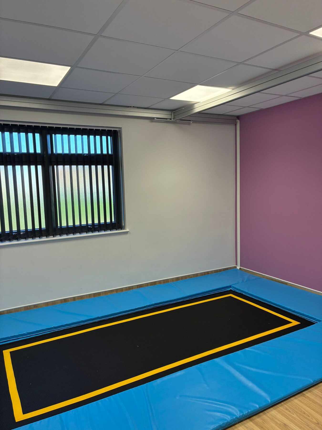 Rebound Therapy Room